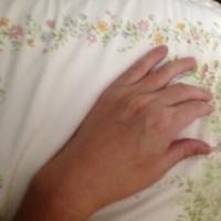 /photo/805930/干净的手/2012-05-26 145449_1_1_small.jpg